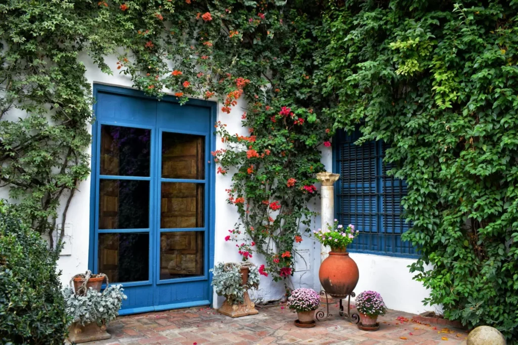french door painted blue